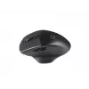Mysz Natec Genesis Czarnybird 2 RF Wireless Optical 1600 DPI
