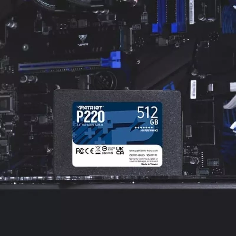 Patriot Memory P220 512GB 2.5 Serial ATA III (P220S512G25)