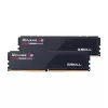 DIMM 32 GB DDR5-6400 (2x 16 GB) Dual-Kit, Arbeitsspeicher schwarz, F5-6400J3239G16GX2-RS5K, Ripjaws S5, INTEL XMP