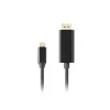 Adapter USB-C na DisplayPort Lanberg CA-CMDP-10CU-0018-BK Czarny 1,8 m