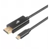 Kabel USB-C do DisplayPort TB AKTBXVDUSBCDP2B 2 m — czarny