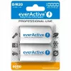 Akumulator everActive EVHRL20-10000 D NiMH 1.2 V 2 szt.