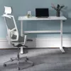 Biurko z ręczną regulacją wysokości Ergo Office, max 40 kg, maks. wysokość 117 cm, z blatem do pracy stojąco-siedzącej, ER-401 W