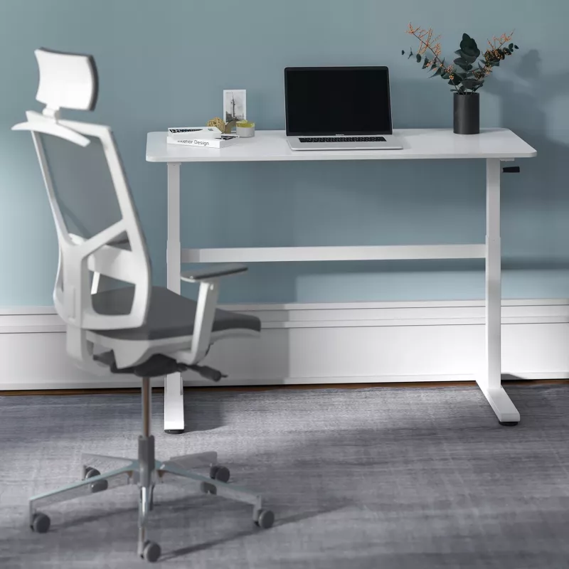 Biurko z ręczną regulacją wysokości Ergo Office, max 40 kg, maks. wysokość 117 cm, z blatem do pracy stojąco-siedzącej, ER-401 W