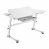 Ergo Office Children's Ergonomic Height Adjustable Desk, szary, max 100kg, ER-417 2cz