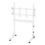 Oplite Nitrokart Podstawka pod monitor V2 Biała - Stalowy podwyższacz z wbudowanym zarządzaniem kablami, nośność 15 kg