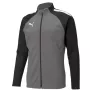 Puma teamLIGA Training męska bluza treningowa z zamkiem ćwierćdługim, kolor Puma Black-Asphalt, rozmiar L