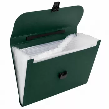 LEAN Organizer na dokumenty, 13 przegród, zielony, A4, pojemnik
