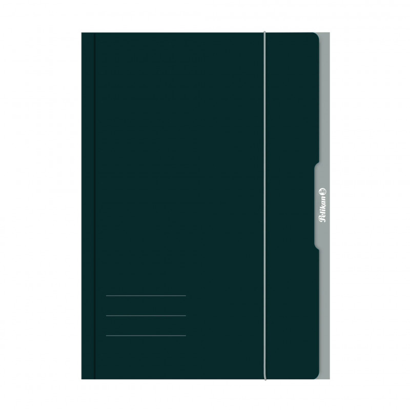 Pelikan 276856 Teczka obiegowa A3 Karton Zielony