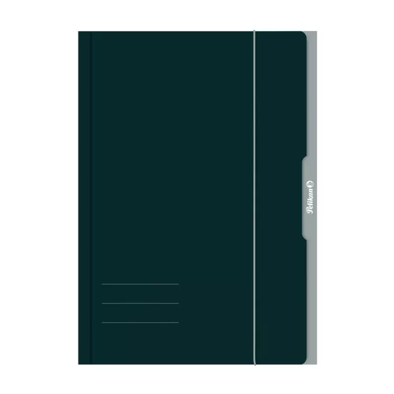 Pelikan 276856 Teczka obiegowa A3 Karton Zielony