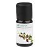 Medisana Aroma Essence Wild Berries 10 ml