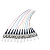 EFB Elektronik Fibre Pigtail ST-II 9/125 OS2 12-Colour Set 2m