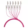 EFB Trunk Cable U-DQ ZN BH OM4 12G 1x12 LC-LC 30m Dca LSZH