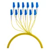 EFB Trunk Cable U-DQ(ZN)BH OS2 12E (1x12) LC-LC 70m Dca LSZH G657A1
