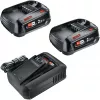Bosch 18V Starter Set 2 x 2.5 Ah Batteries + AL 18V-44 Charger (1600A031T5)