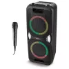 MEDION PE-1 Pure Party Speaker Czarny - Bluetooth 5.0, 40W RMS, 2x 6,5 inch głośniki, karaoke, TWS, oświetlenie LED, power bank