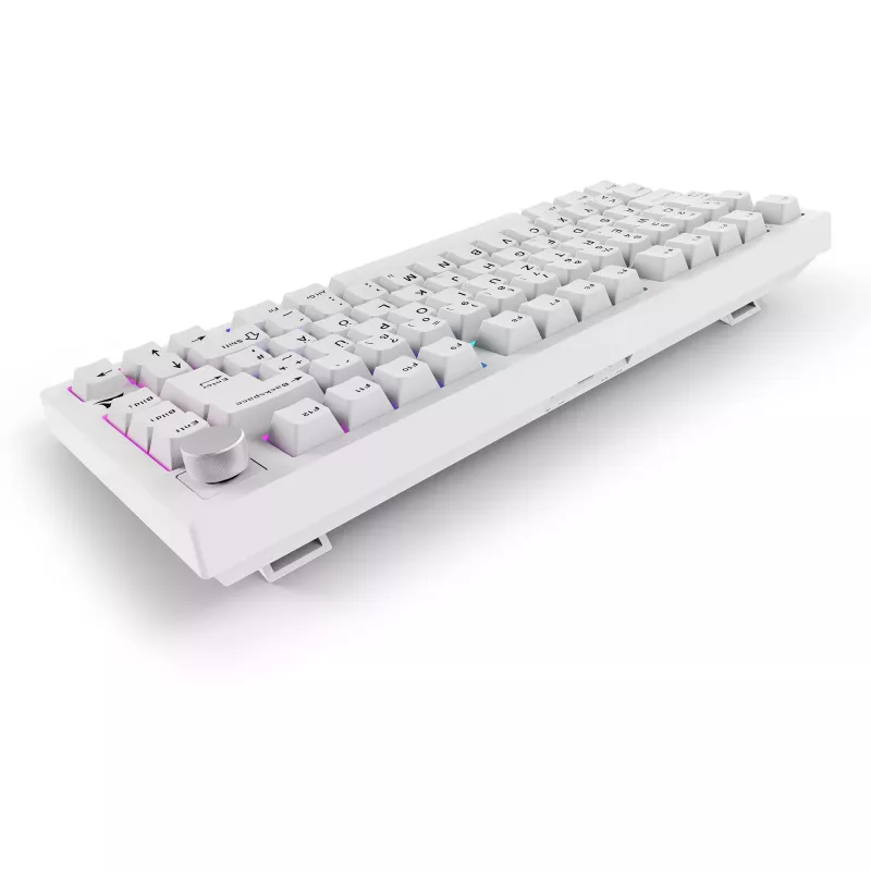 Sharkoon SGK55W SKILLER Bezprzewodowa Klawiatura Gamingowa, Układ 75%, PBT Keycaps, Biała