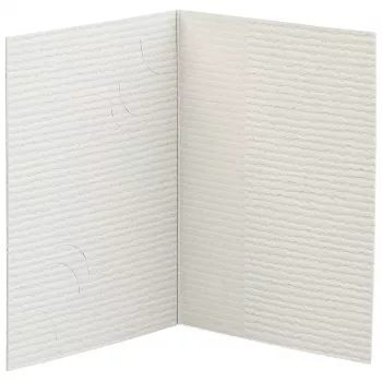 DAIBER Folder na Zdjęcia Pasażportowe, 3 Rozmiary, Szary, 100 Sztuk