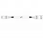 Supermicro CBL-0341L Wewnętrzny kabel USB 2.0 - 70 cm - Złącze płyty głównej 10-pin do 2x USB-A żeńskie