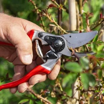 FELCO 9 Leworęczne Sekatory Bypass - Kute Aluminium