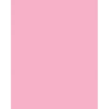 Folia 614/50 26 - Rose - Plain - A4 (210 x 297 mm) - 300 g/m² - 50 arkuszy - Niemcy