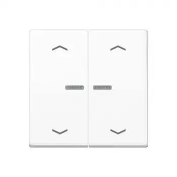 JUNG Home Przycisk 2-obwodowy Bluetooth AS 17102 P WW