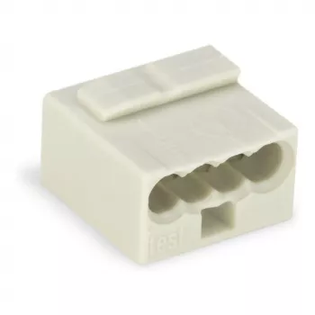 WAGO 243-304 PUSH WIRE® Złącze 2-przewodowe 100V 24A Przezroczyste