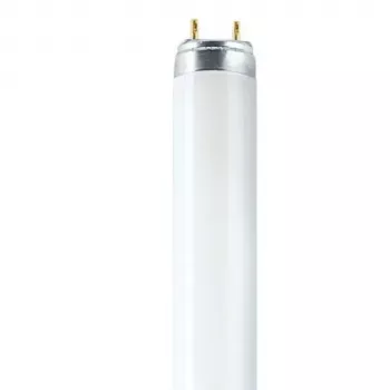 OSRAM L T8 36W/840 G13 Świetlówka 1200mm 4000K Cool White