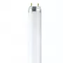 OSRAM L T8 36W/840 G13 Świetlówka 1200mm 4000K Cool White