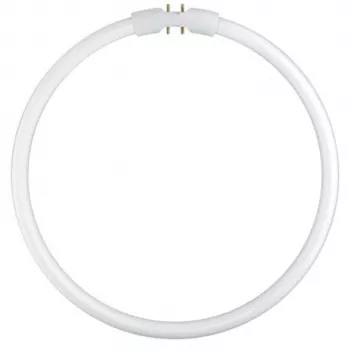 Osram Circular Fluorescent Lamp T5 FC22W 840 2GX13