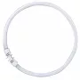 OSRAM LUMILUX T5 FC Świetlówka kołowa 40W 830 2GX13 Ciepła biel 3000K