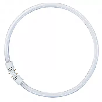 OSRAM LUMILUX T5 FC Circular Fluorescent Lamp 55W 865 Daylight 2GX13