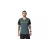 SALEWA Dynafit Alpine 2 S/S Tee Koszulka do biegania - Cinder, rozmiar M