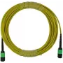 BlueOptics MPO Trunk Cable Singlemode 12 Fibers 2 Meter Type B
