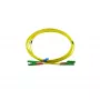BlueOptics Duplex Fiber Optic Patch Cable, E2000-APC/E2000-APC, Singlemode OS2, 3m, Green