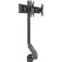 Rockstable RS-MM005 Zaawansowany podwójny uchwyt do monitora - zacisk / przelotka - 16 kg - 33 cm (13 inch) - 68,6 cm (27 inch) - 100 x 100 mm - Czarny