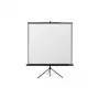 Reflecta Crystal-Line Tripod 240x240 cm Matte White Screen