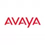 Avaya Ethernet Routing Switch 4850GTS - L3 Managed Gigabit Switch - 48 Ports - 2x SFP+ - Rackmount