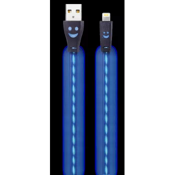 2GO 795536 kabel USB-A na Lightning 1 m niebieski
