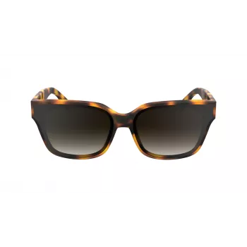KARL LAGERFELD KL6161S-240 Damskie Przesadzone Kwadratowe Okulary Przeciwsłoneczne, Havana Brown z Brązowymi Soczewkami Gradientowymi, 63/14/140 mm