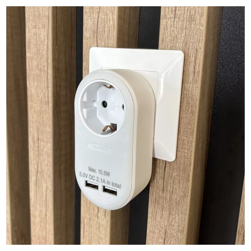 ENTAC Wtyczka ścienna z 2x USB-A Biała
