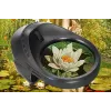 Mikroskop cyfrowy Levenhuk ERGO 30 2.0 MP 20x-230x USB