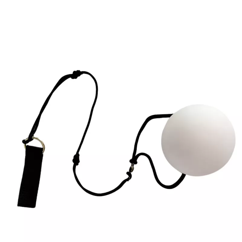 LEAN TOYS Piłki do żonglowania Fiber Optic LED 2 kolory