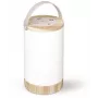 Avide Przenośna Lampa Stołowa RGB LED z Przyciskiem