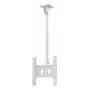 SMS Func Ceiling LP Medium Single White Uchwyt sufitowy do projektora