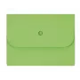 ELCO Ordo Forte teczka do organizacji dokumentów A4, 320 x 245 mm, 320 g/m², zielony, 25 szt. (29494.62)