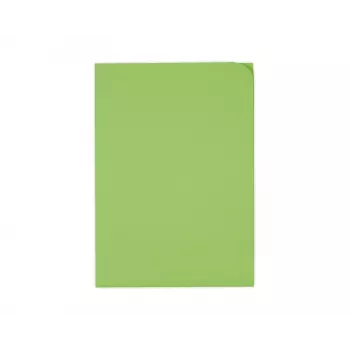 ELCO Ordo Discreta teczka do organizacji dokumentów A4, 220 x 310 mm, 120 g/m², intensywny zielony, 100 szt. (29466.62)