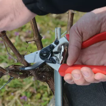 FELCO FELCO-7 Sekator nożycowy, praworęczny, z obrotową rączką, zdolność cięcia 25 mm
