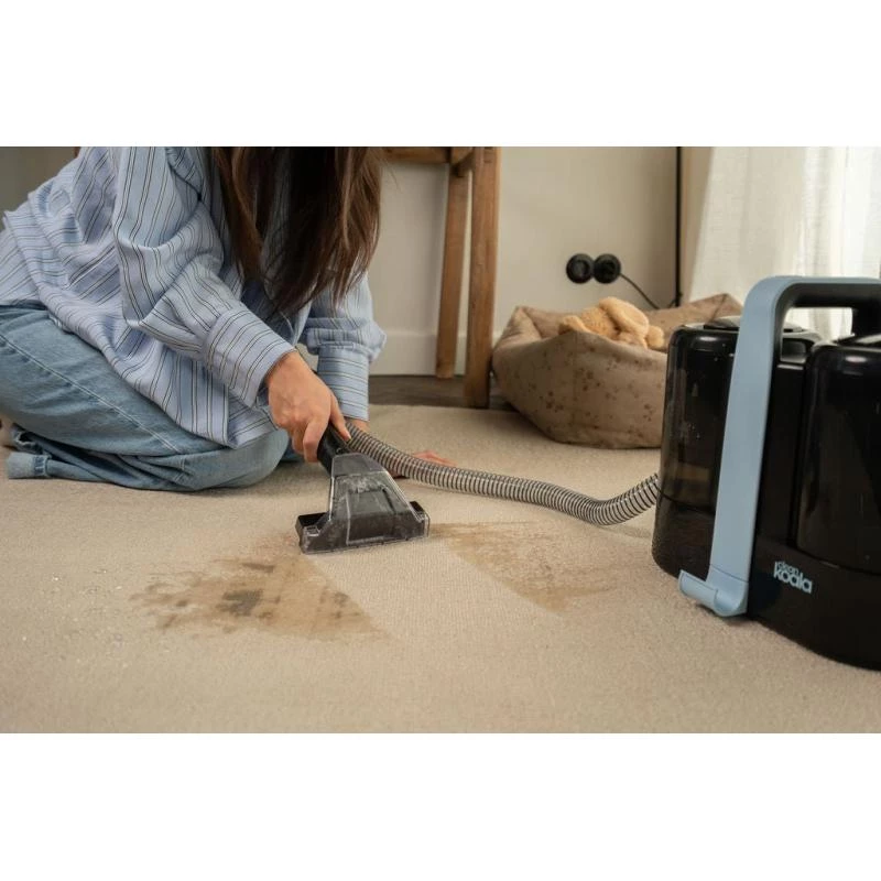 CLEANKOALA Clean Koala Odkurzacz do dywanów 1000W 3.5L Zbiornik na czystą wodę Szary/Niebieski