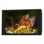 Portkeys HD7T 7 cali 2200 cd/m² IPS Monitor Studyjny z 3D LUT